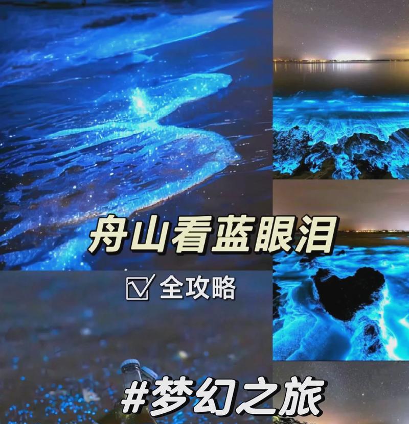 守望先锋2辅助出装攻略（完美释放辅助技能，助你登上荣耀之巅）