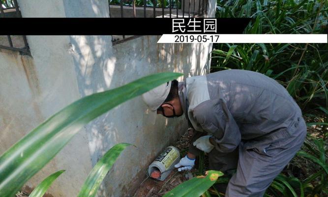 掌握害虫天赋出装攻略，从容应对生物入侵！（拆解害虫天赋，防御大作战一网打尽！）