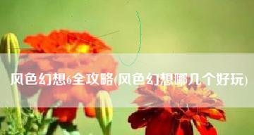 夏洛特猎马行动出装攻略（《原神》新角色夏洛特的最佳装备选择和建议）