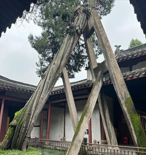 《征服以太平天国（掌握《以太平天国》游戏的必备技巧，成为霸主）